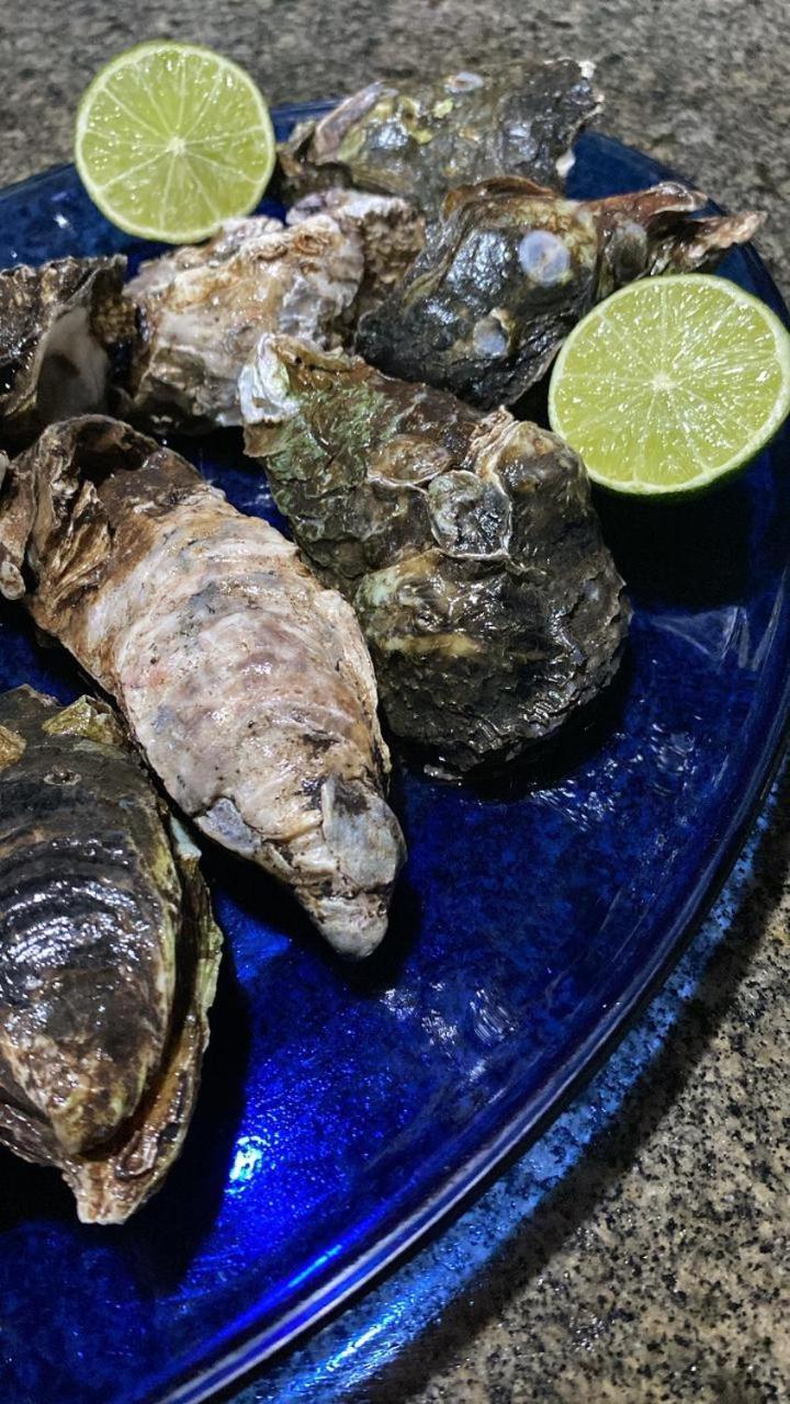 Pousada Marinheiro Sítio 外观 照片